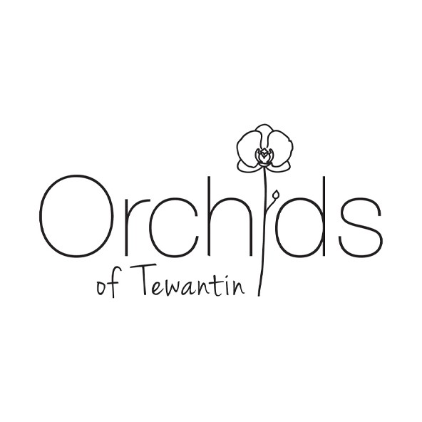 Orchids of Tewantin logo